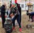 Сотрудники администрации города Советская Гавань дружным коллективом вышли на городской субботник - Наша-Гавань.Рф
