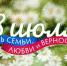 День семьи, любви и верности отметят завтра в Хабаровском крае - Советско-Гаванский район