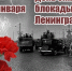 Дмитрий Чайка обратился к жителям в связи с годовщиной полного снятия блокады Ленинграда - Советско-Гаванский район