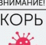Вакцинопрофилактика - основной метод защиты населения от кори. - Советско-Гаванский район